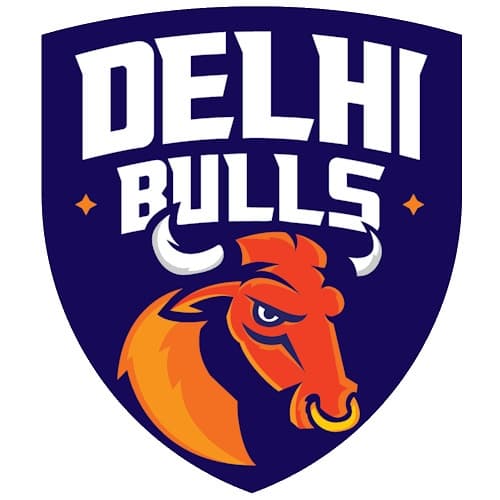Delhi Bulls team logo