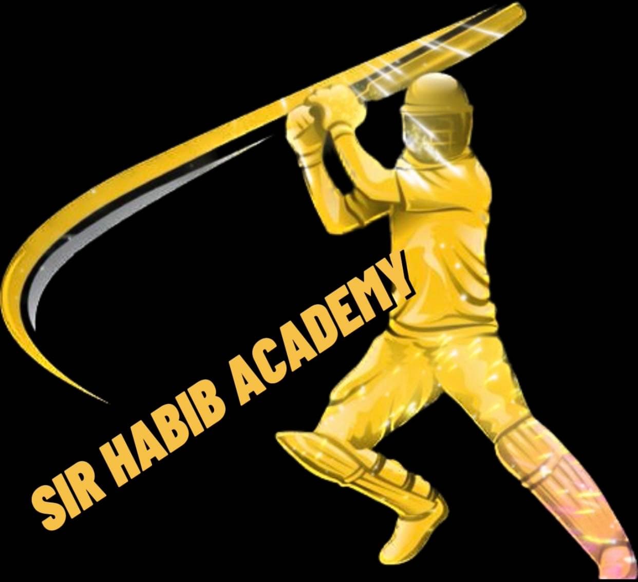SIR HABIB ACADEMY team logo