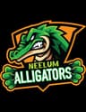 Neelum Alligators