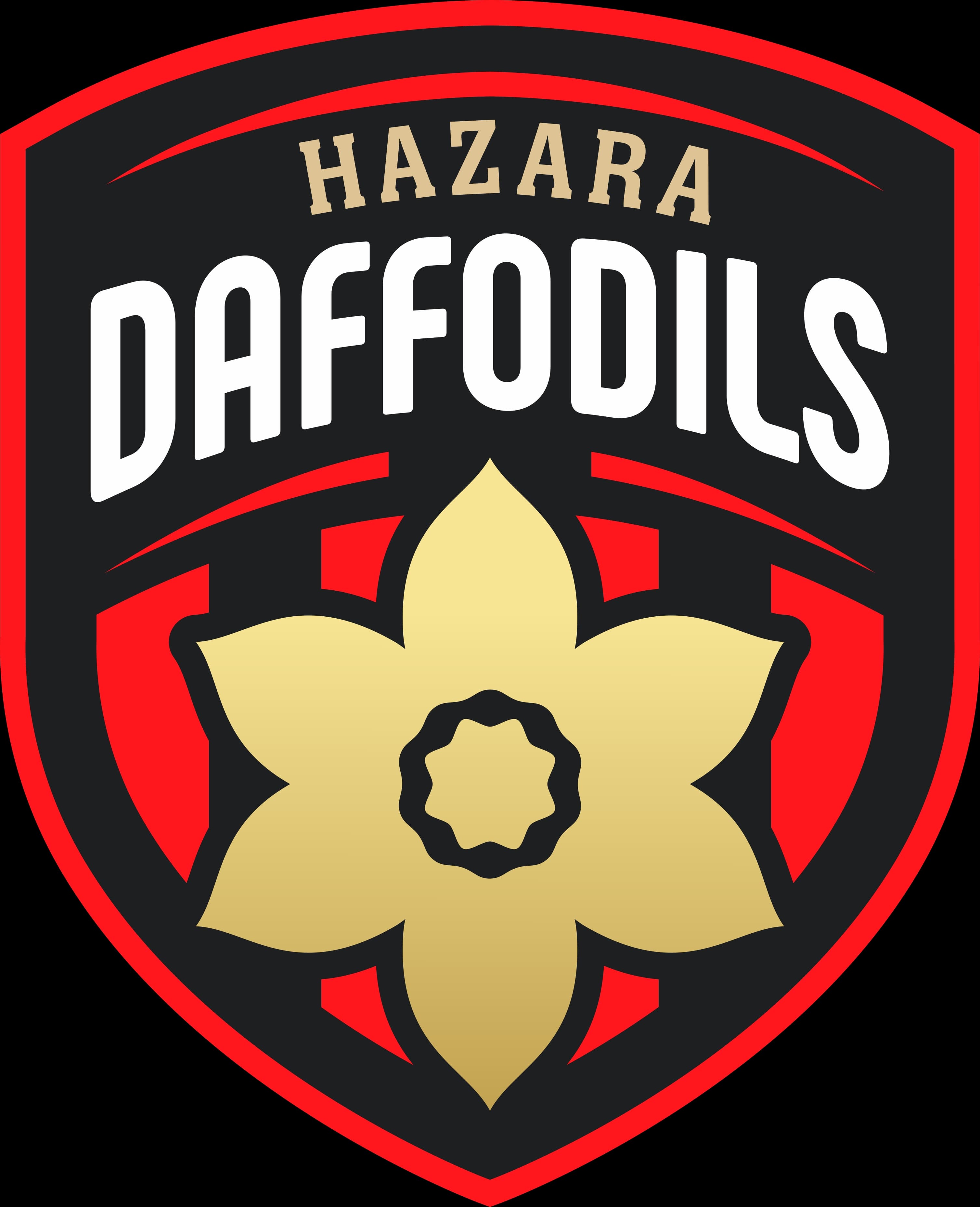 Mahnoor Qayyum team logo