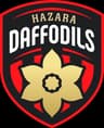 Hazara Daffodils