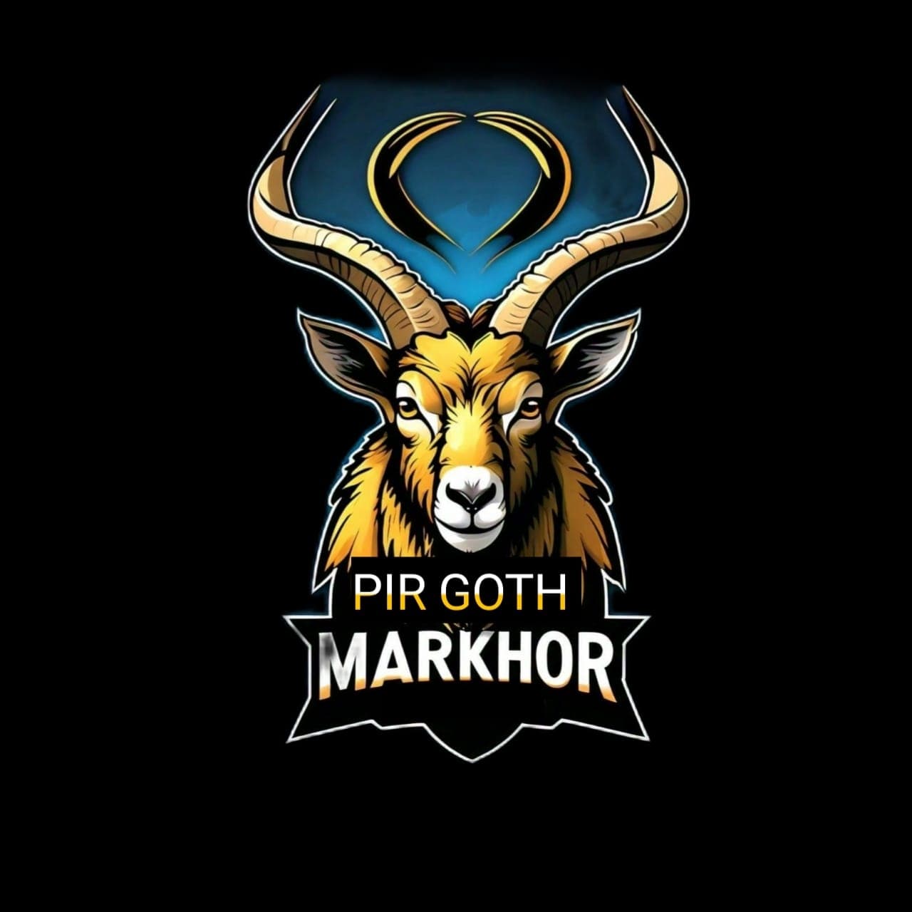 PIR GOTH MARKHOOR team logo