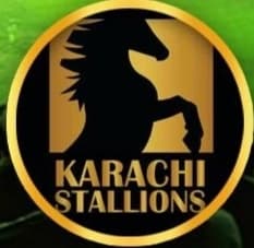 KARACHI STALLIONS. team logo