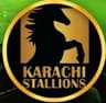 KARACHI STALLIONS.