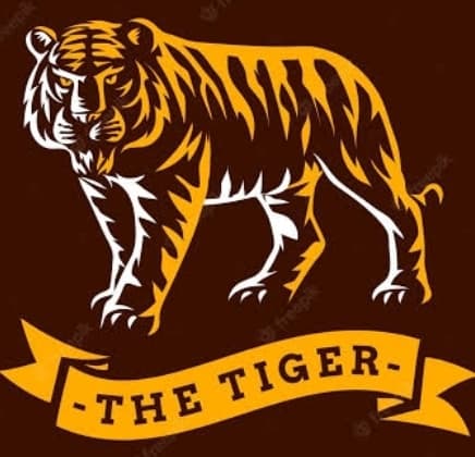 LUCKNOW TIGERS team logo