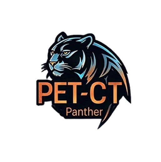 Pet Ct Panthers team logo