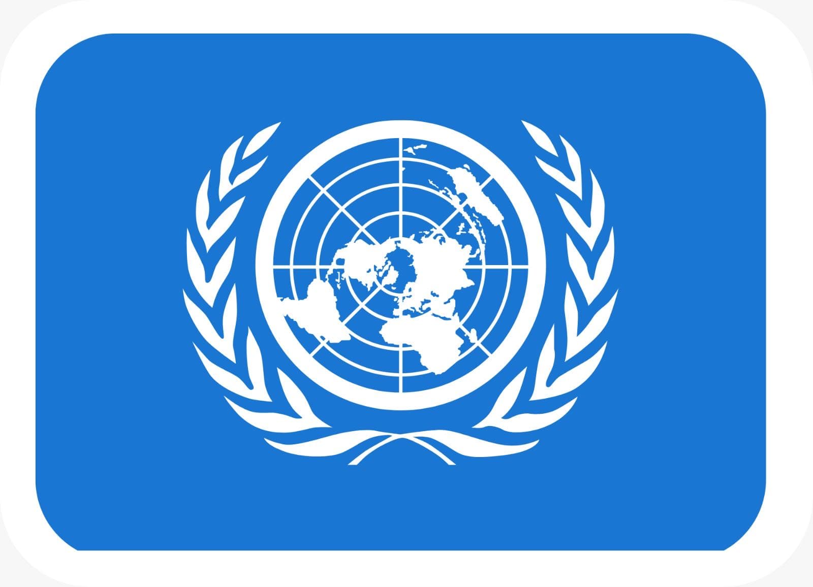 UN team logo