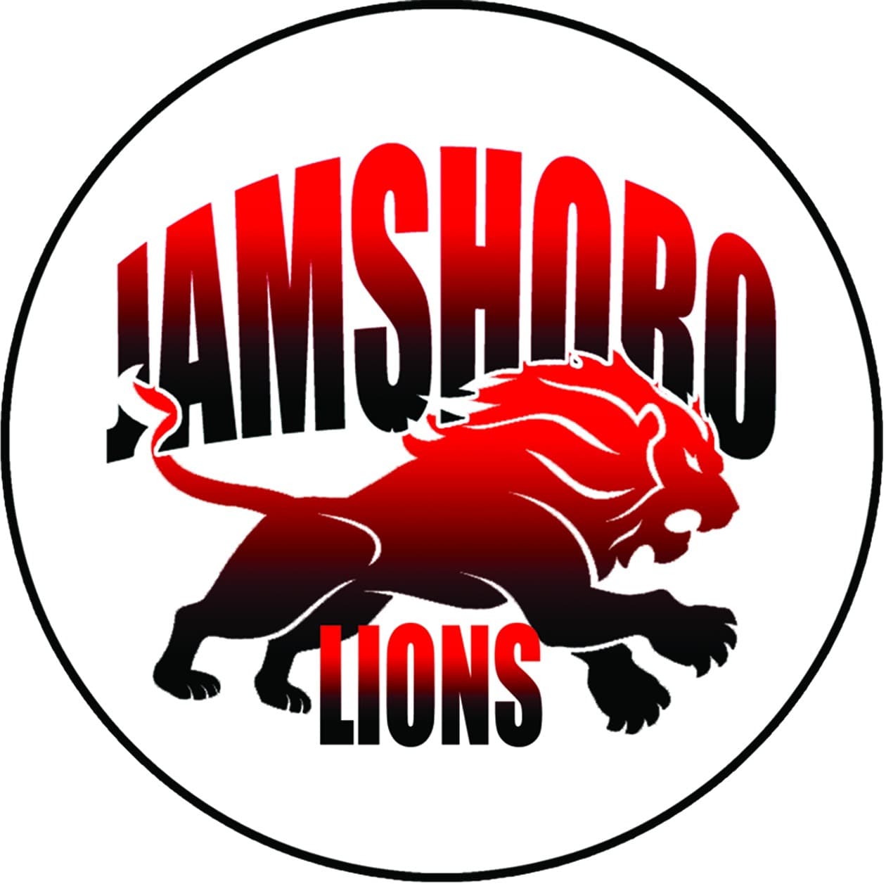 Jamshoro Loins team logo