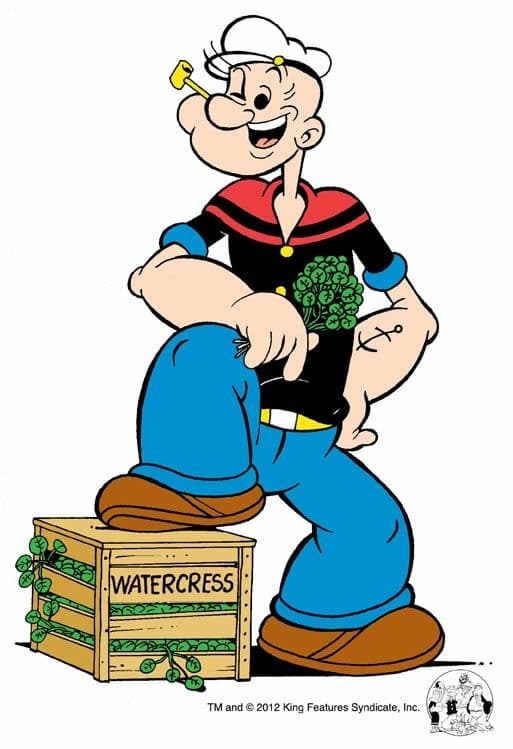 Popeye The Sailors team logo