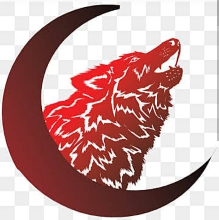 15 Wolves team logo
