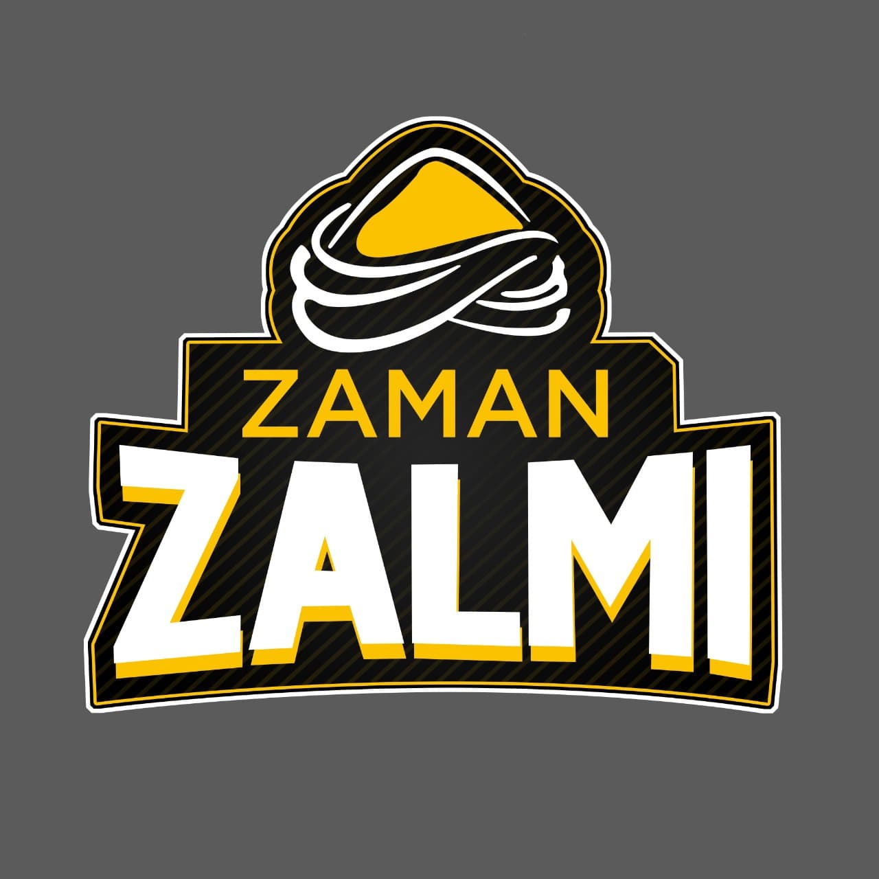 Shahid Naseer team logo