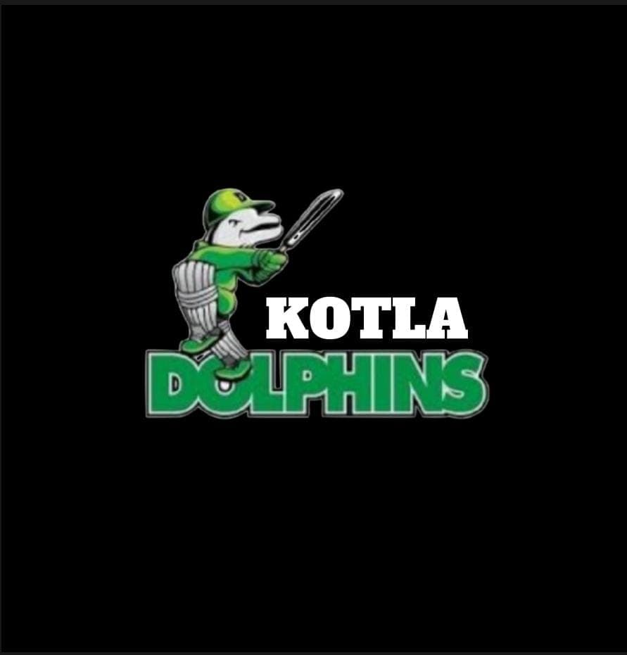 Kotla Dolphin team logo