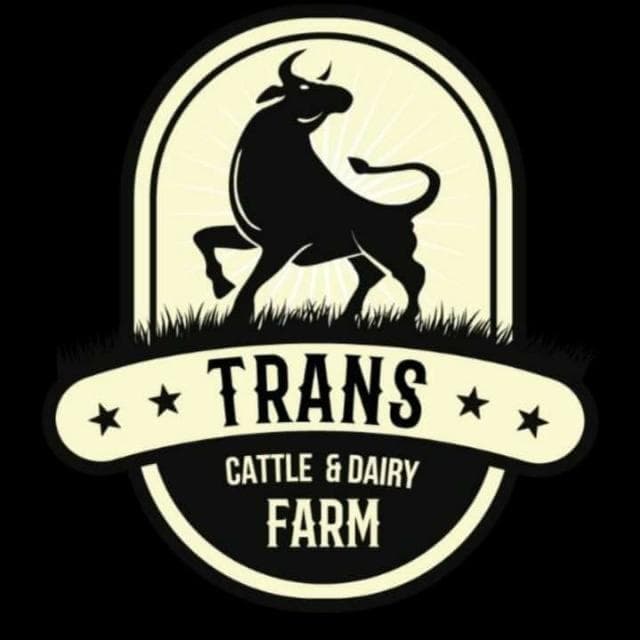 Trans Cattle & Dairy Farm team logo
