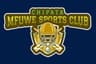 CHIPATA XI