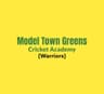 Model Town Greens Cricket Academy