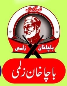 Bacha Khan Zalmi team logo