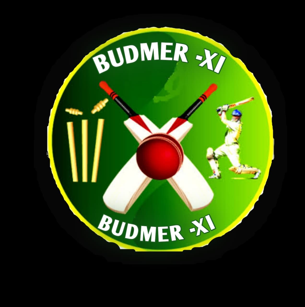 BUDMER-XI team logo