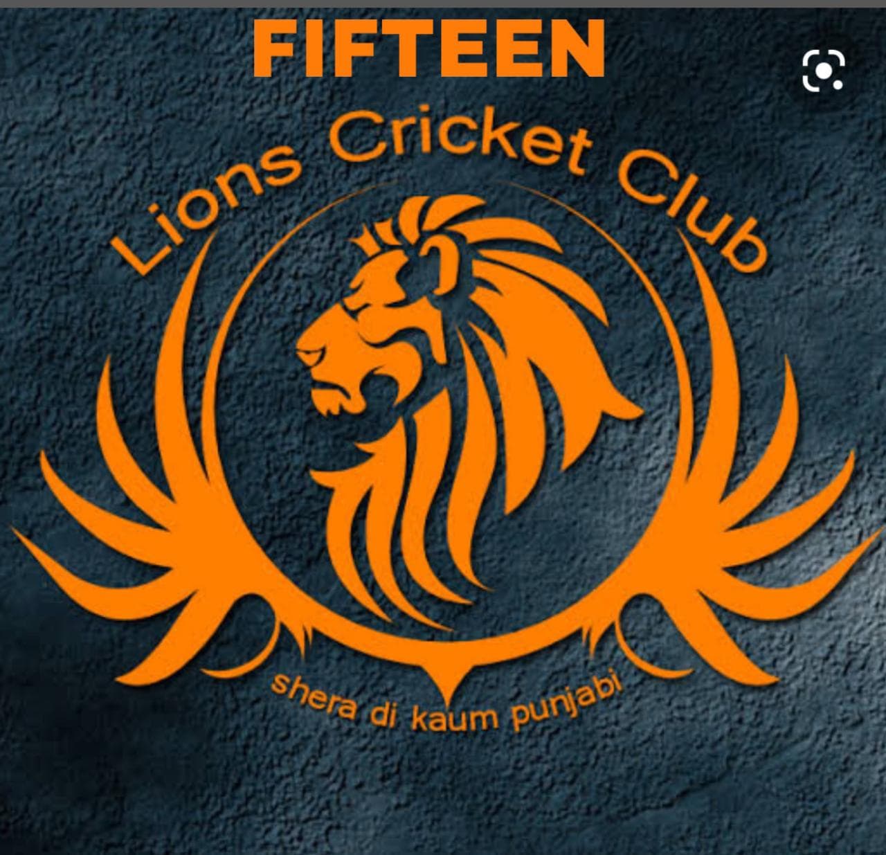 Fifteen Cricket Club team logo
