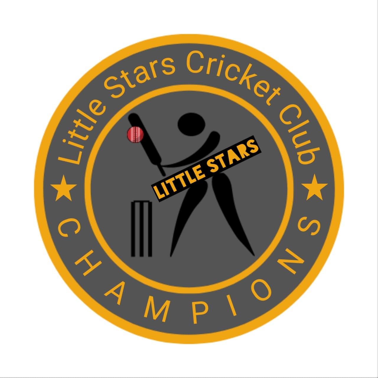 Lite Stars Cricket Club