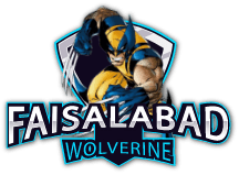 Faisalabad Wolverine