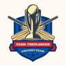 Team Freelancer