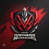 Vehari Warriors
