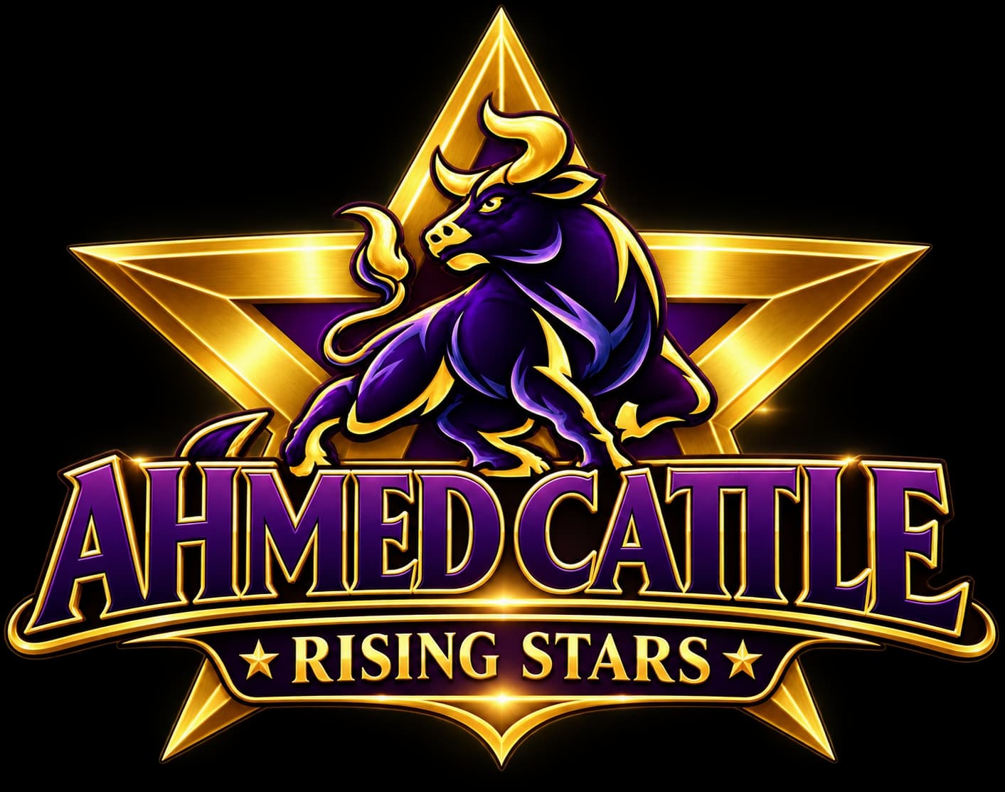 Ahmed Rising Stars