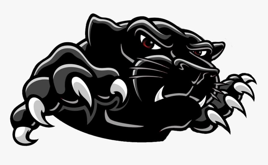 Black Panther's