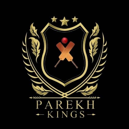 Parekh Kings team logo