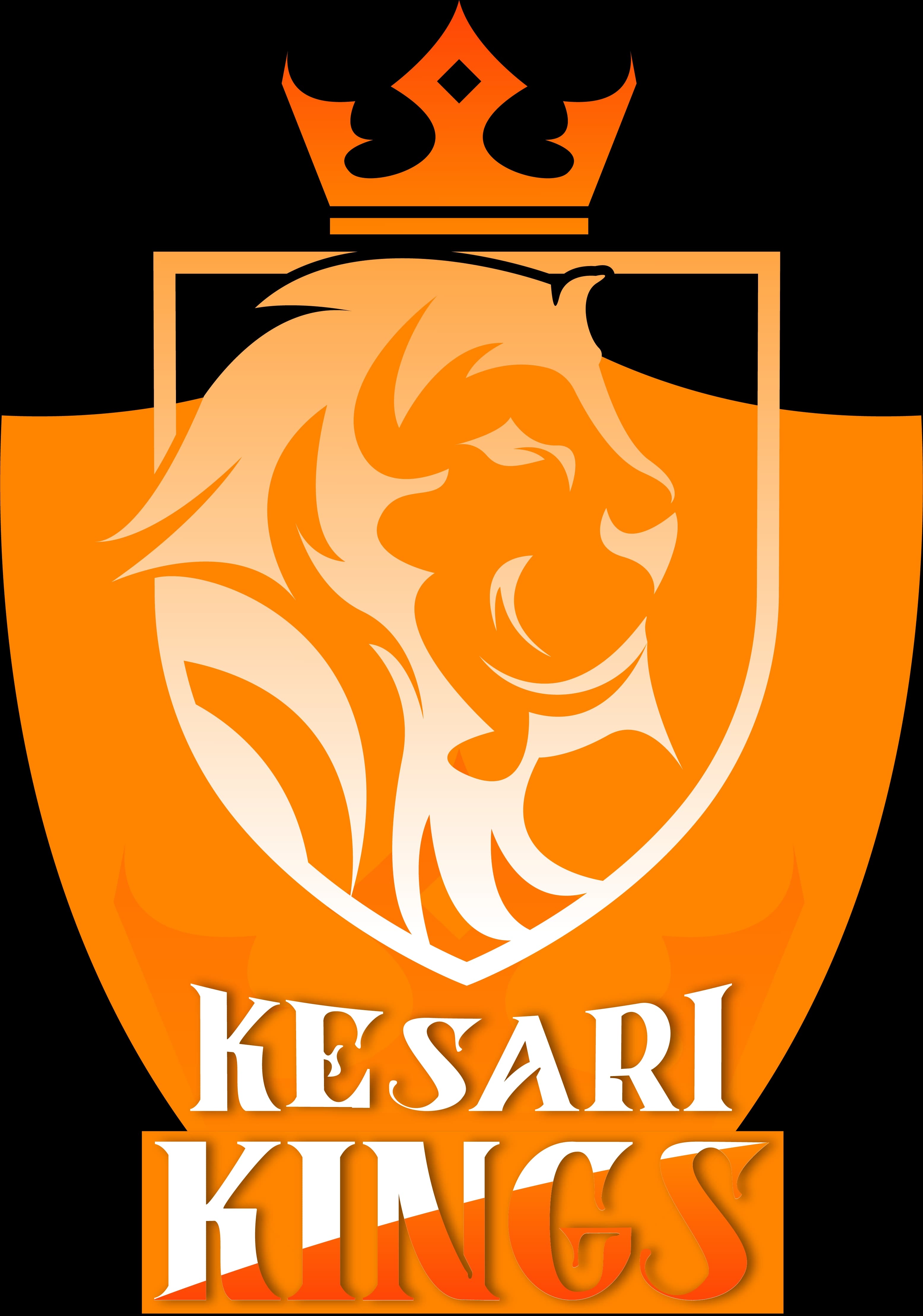 Tanuskh Patel team logo