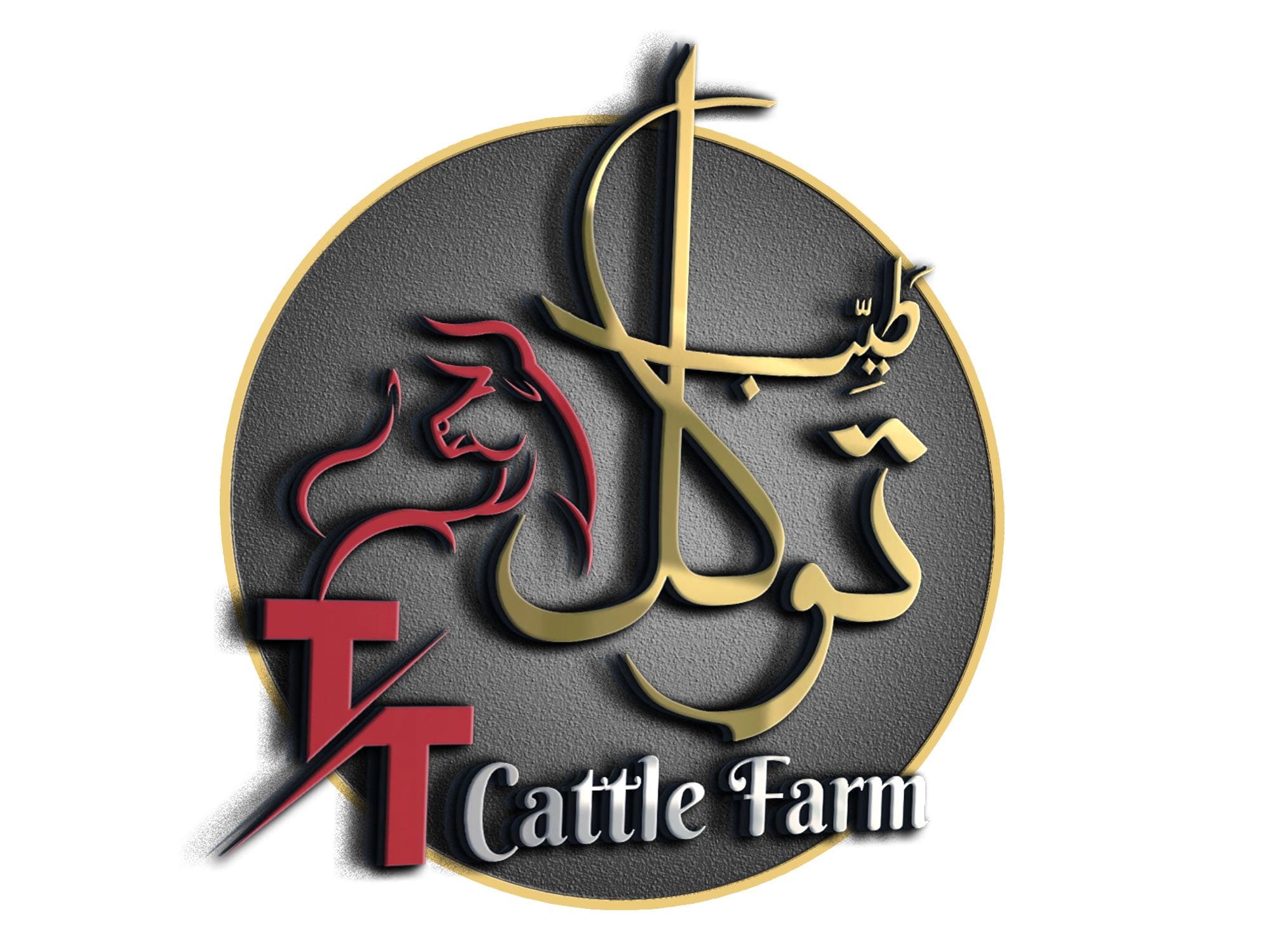 T&T Cattle Farm team logo