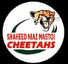Shaheed Niaz Mastoi