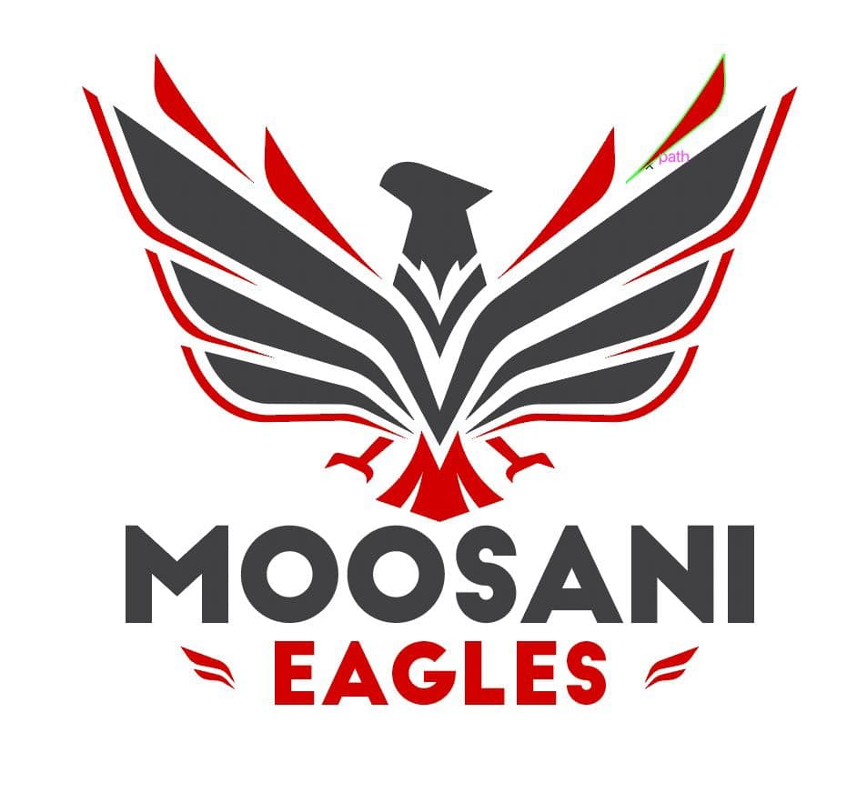 Moosani Eagles team logo
