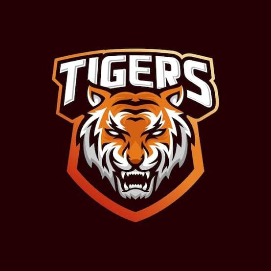 Chakwal U19 Tigers