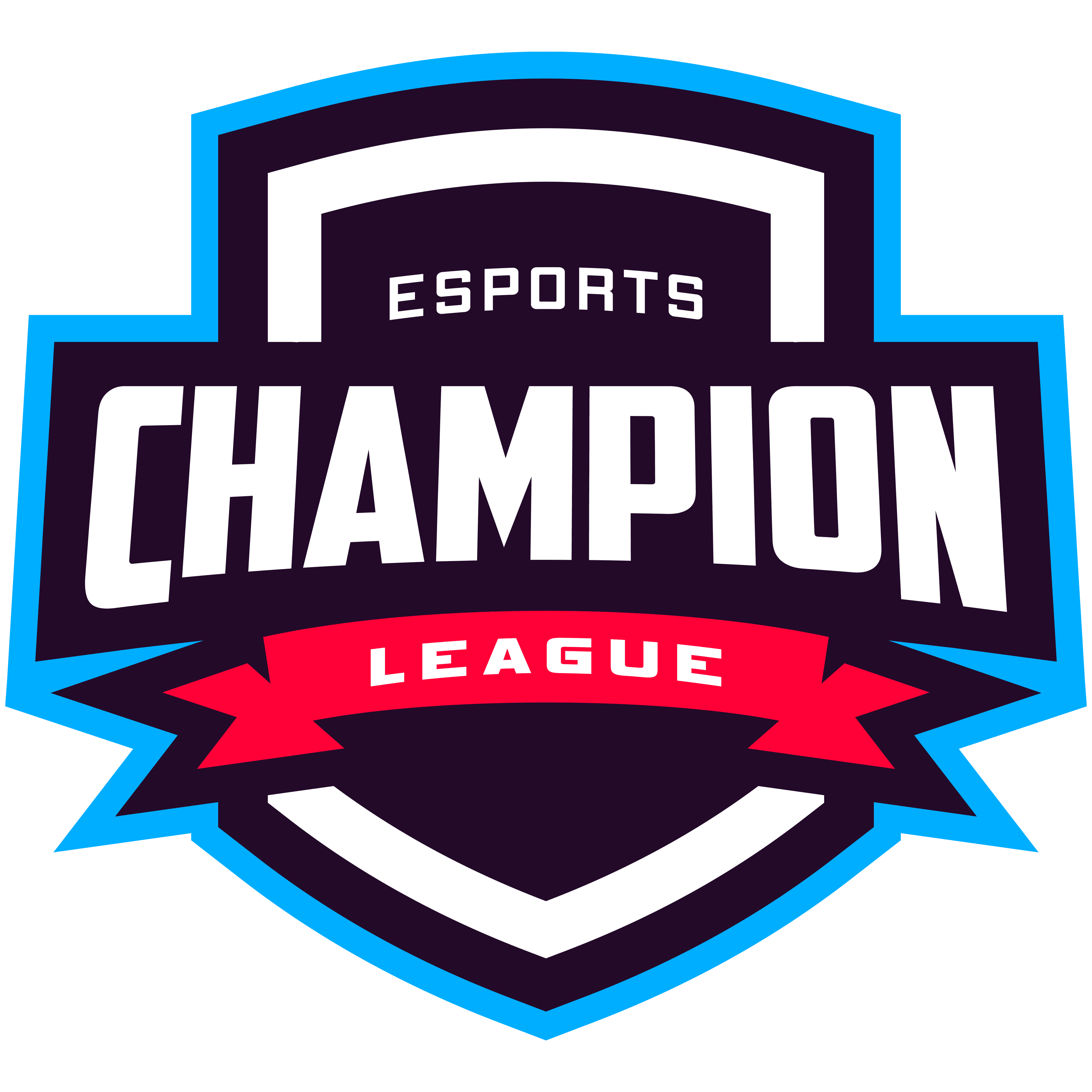 Champion Cricket League