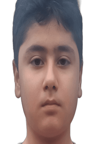 AAYAN ALI
