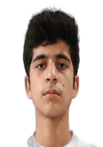 TALAL HASHMI