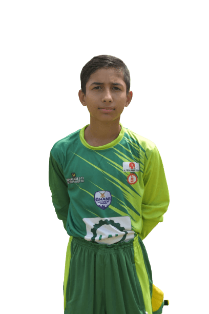 Hassan Ali