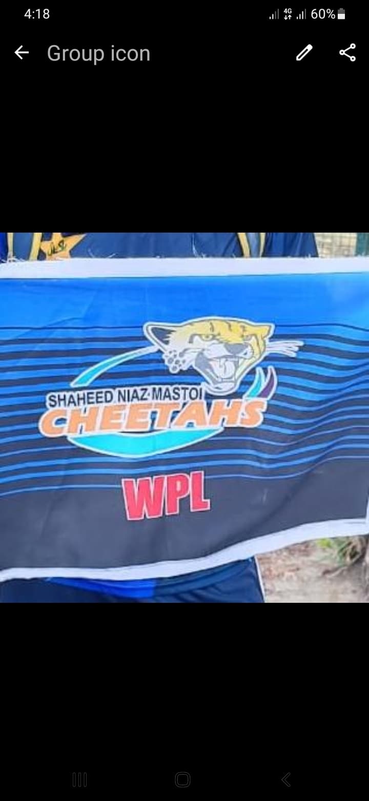 SHAHEED NIAZ MASTOI CHEETAHS team logo
