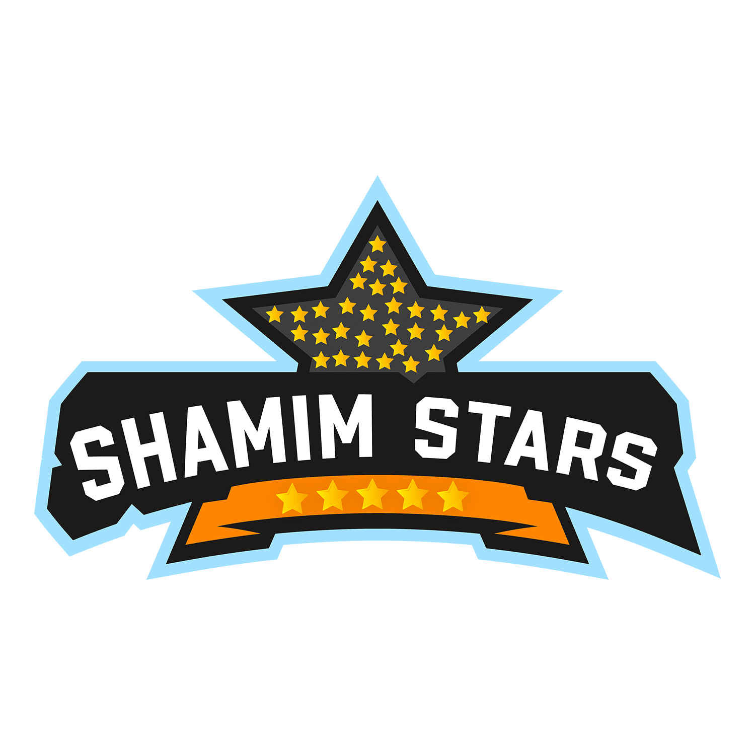 Shamim Stars team logo