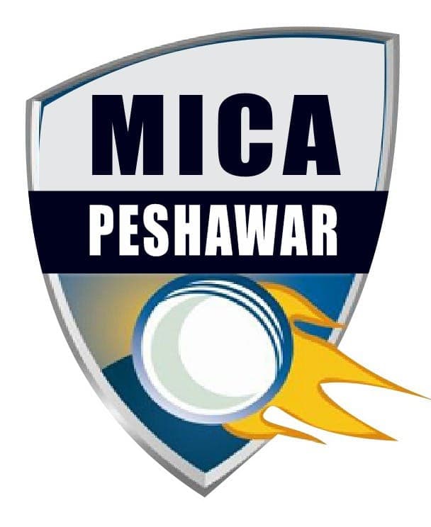 Malik International Cricket Acedmy team logo