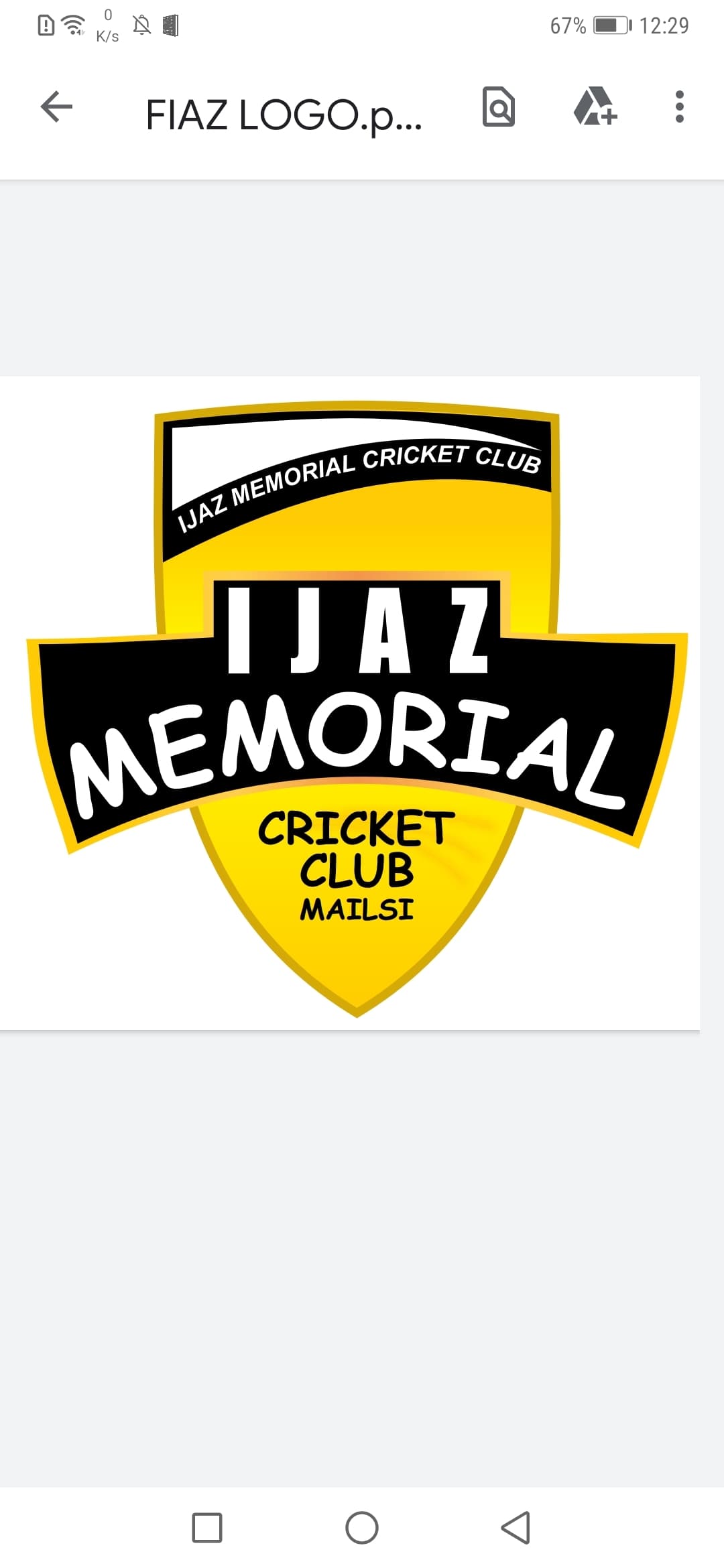 Ijaz Memorial Cricket Club team logo