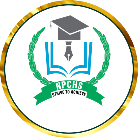 Noor Pur School team logo