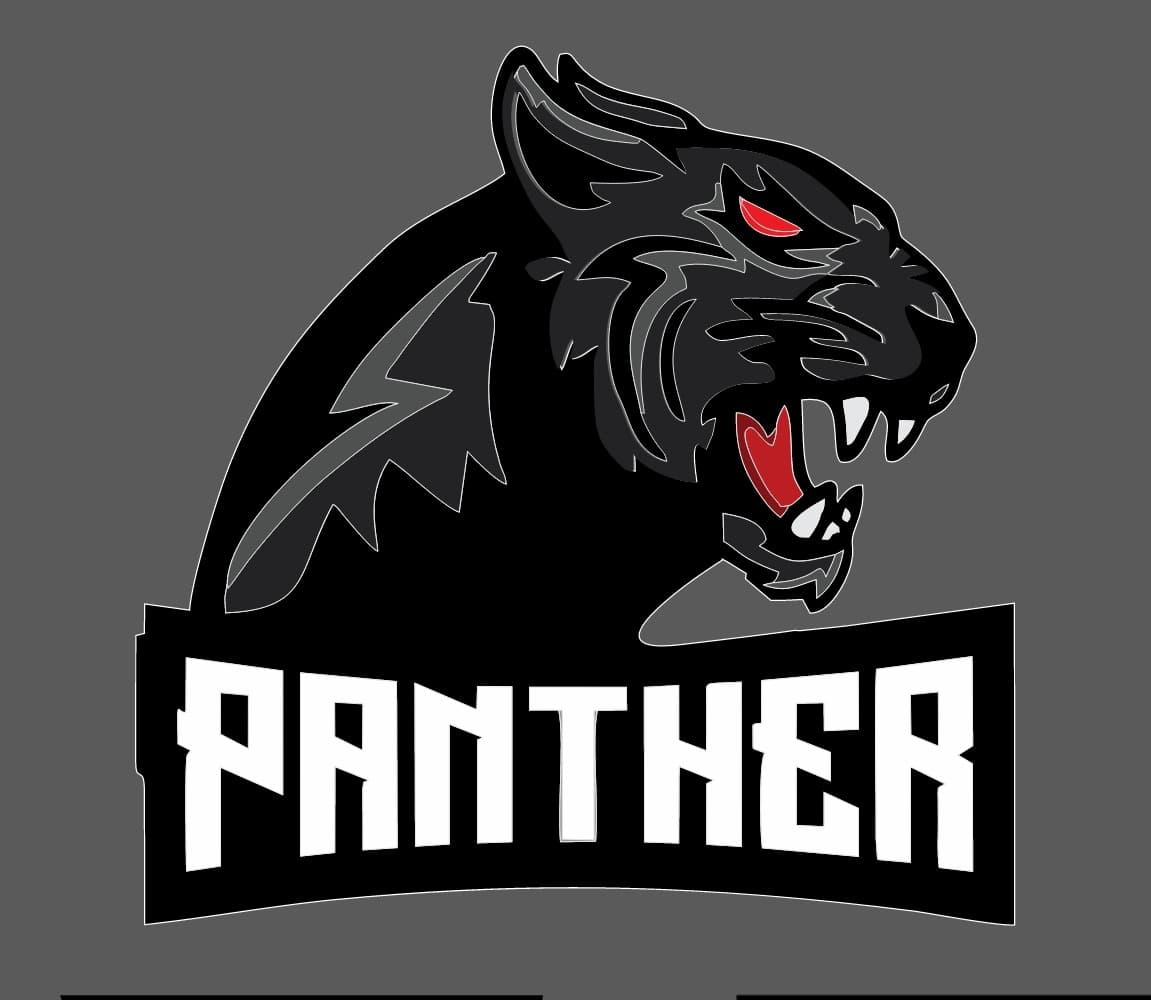 BLACK PANTHERS team logo