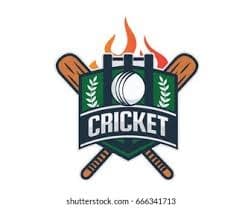 Young Alshamas Cricket Club Arifwala team logo