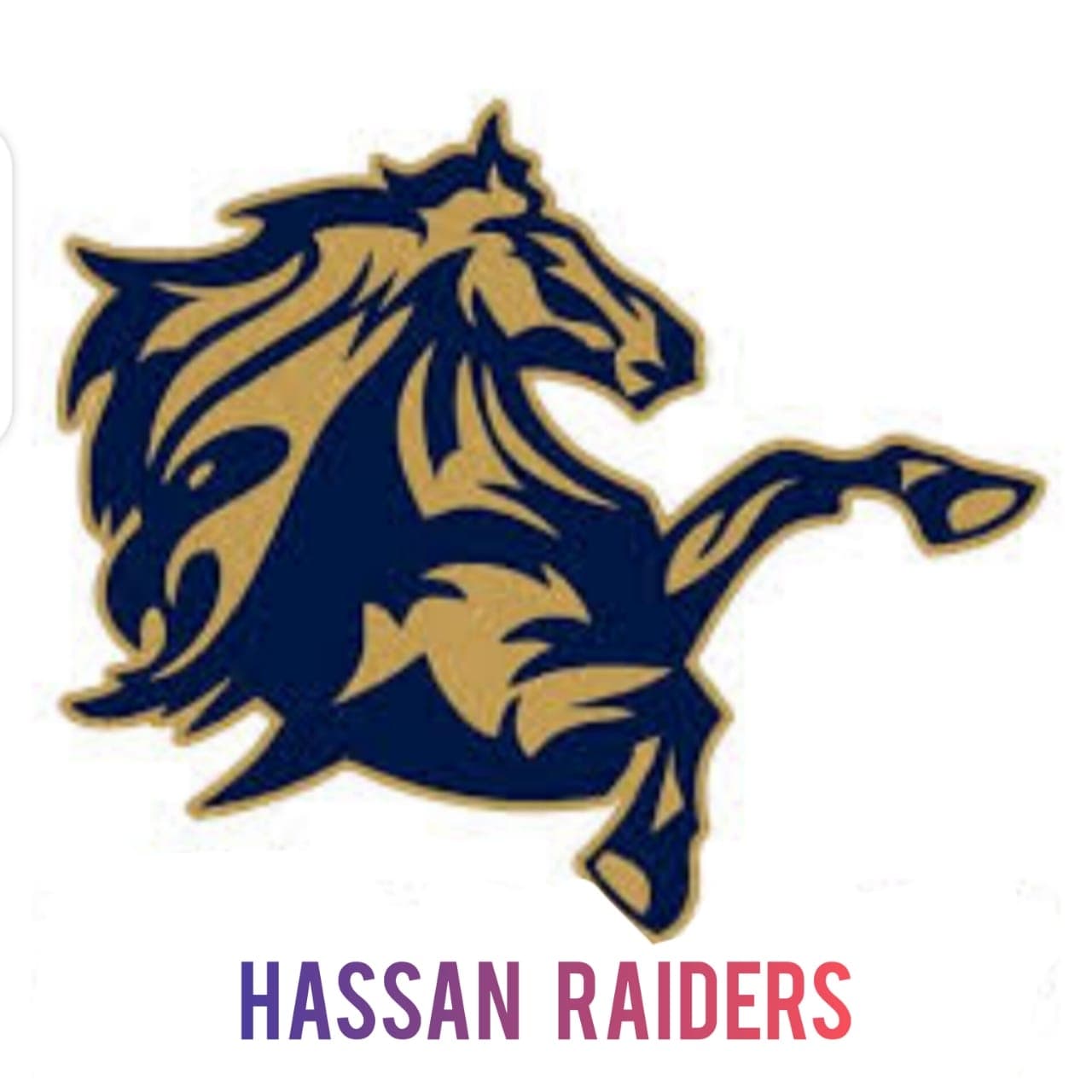 Hassan Raiders team logo