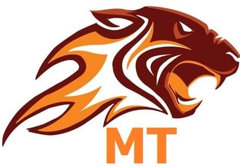 Model Town Tiger team logo