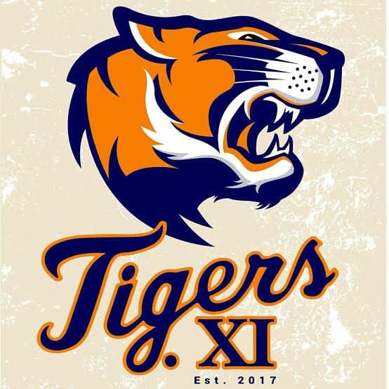 Ali Tiger team logo