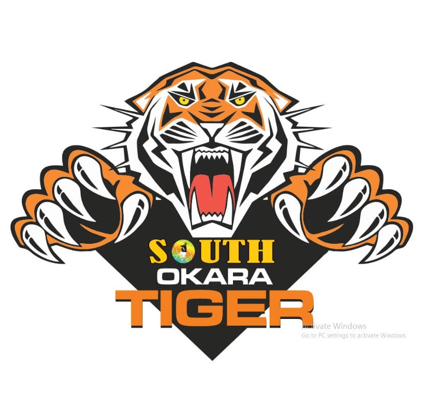 South Okara Tiger team logo